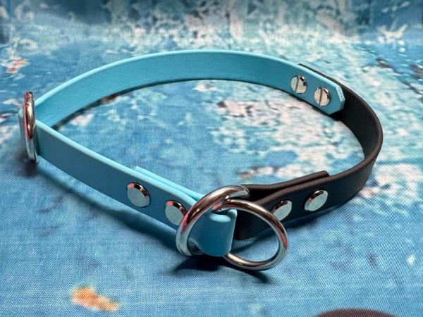 Zugstopphalsband zweifarbig , 16 mm , 38 cm , Biothane Skyan Blau - Schwarz , Hardware vernickelter Stahl silber