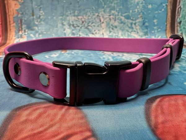 Verstellbares Halsband mit Klickverschluss , einfarbig , 19 mm , 42 - 57 cm , Biothane Grape , Hardware Schwarz