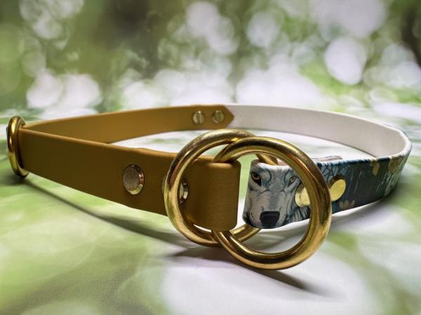 Zugstopphalsband zweifarbig , 19 mm , 52 cm , Biothane Gold und UV Biothane Wolf in the Woods , Hardware Messing