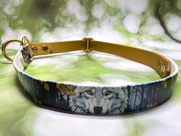 Zugstopphalsband zweifarbig , 19 mm , 52 cm , Biothane Gold und UV Biothane Wolf in the Woods , Hardware Messing