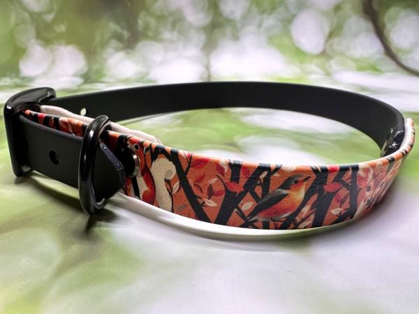 SONDERPREIS !!!   Schnallenhalsband zweifarbig , 19 mm , 44 - 52 cm , Biothane Schwarz - UV Biothane Squirrel and Deer , Hardware Schwarz