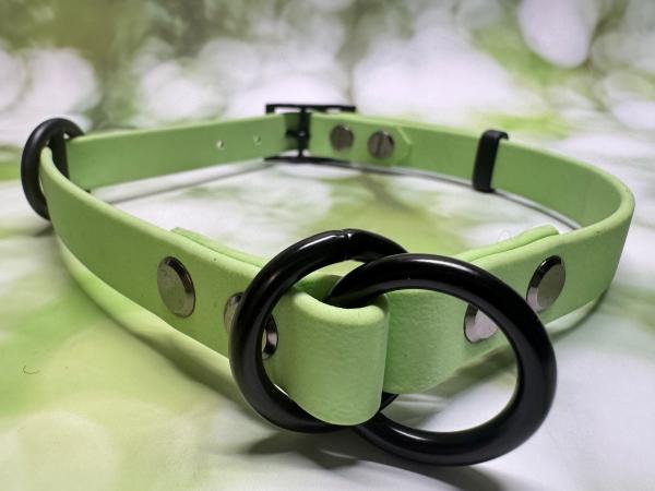 Zugstopphalsband verstellbar mit Schnalle , zweifarbig , 16 mm , 38 - 44 cm , Biothane Pastell Grün , Hardware Schwarz