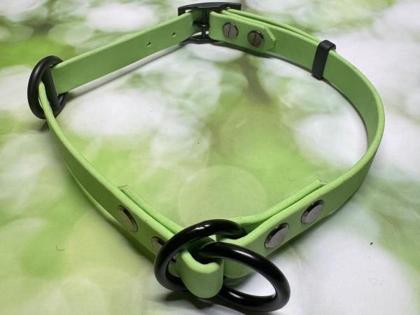 Zugstopphalsband verstellbar mit Schnalle , zweifarbig , 16 mm , 38 - 44 cm , Biothane Pastell Grün , Hardware Schwarz