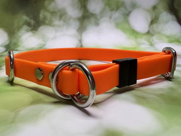 Mitwachsendes Halsband , 16 mm , 32 - 44 cm , Pawtex Neon Orange , Hardware Silber