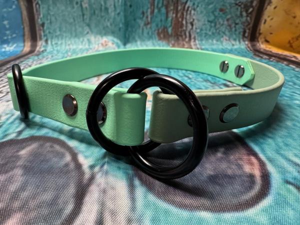 Zugstopphalsband zweifarbig , 19 mm , 42 cm , Biothane Caribbean Grün - Sage Green , Hardware vernickelter Stahl schwarz