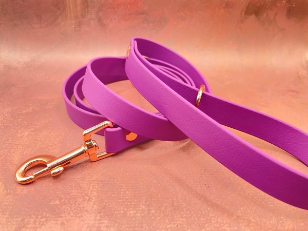 Führleine ; 19 mm ; 150 cm