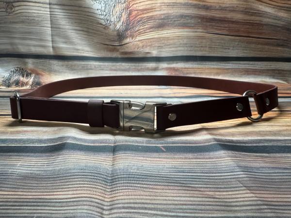 Gassigürtel mit Metallsteckschnalle und farbigem Inlay; 25 mm breit; 110 cm lang ( Bundweite 103 - 117 cm )