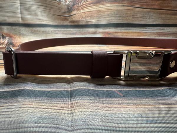 Gassigürtel mit Metallsteckschnalle und farbigem Inlay; 25 mm breit; 110 cm lang ( Bundweite 103 - 117 cm )