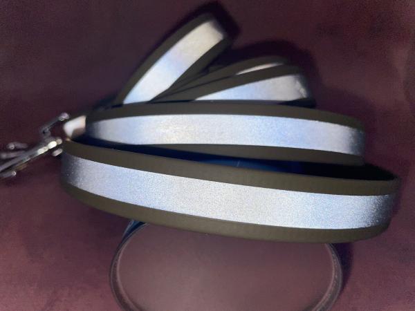 Führleine reflektierend 3-fach verstellbar ; 19 mm ; 200 cm