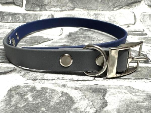 Schnallenhalsband zweifarbig ; 16 mm ; 40 - 48 cm