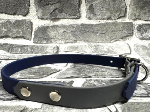 Schnallenhalsband zweifarbig ; 16 mm ; 40 - 48 cm