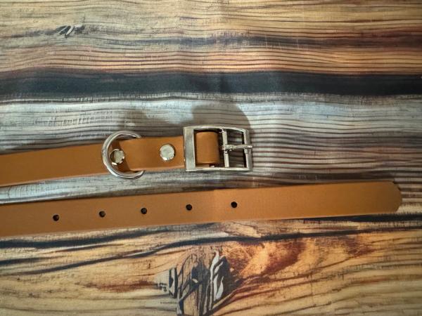 Gassigürtel mit Leiterschnalle; 19 mm breit; 110 cm lang ( Bundweite 106 - 114 cm )