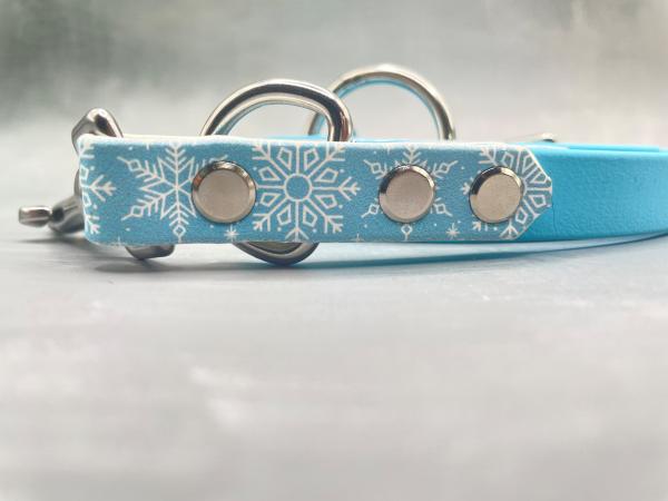 Führleine zweifarbig 3-fach verstellbar ; 16 mm ; 200 cm