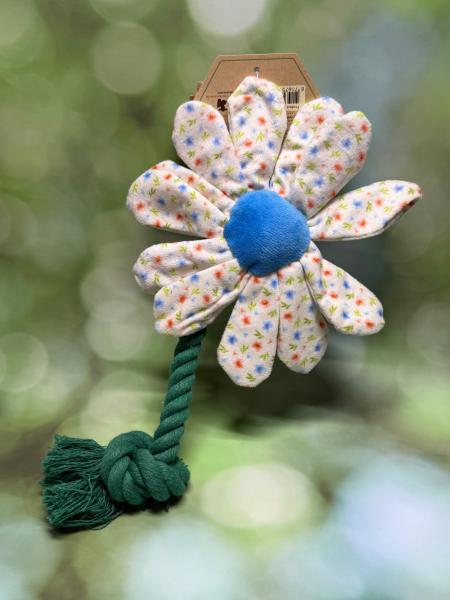 Garden Paws Flower Sky Flowers S