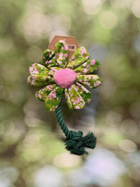 Garden Paws Flower Summer Shrubs Sommer Sträucher S