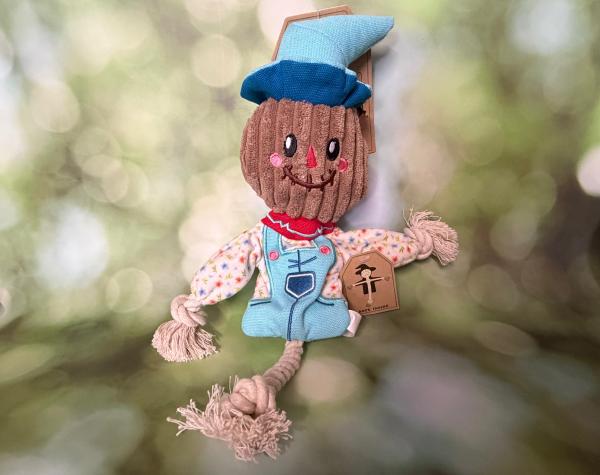 Garden Paws Scarecrow Vogelscheuche Calvin Crow S