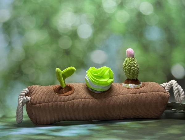 Garden Paws Snuffle Box Schnüffelspielzeug Sprout,Crop & Kaktus