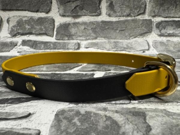 Schnallenhalsband zweifarbig ; 19 mm ; 40 - 48 cm