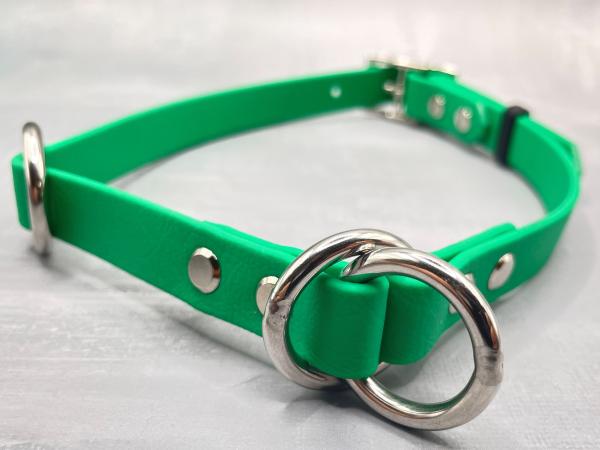 Zugstopphalsband verstellbar mit Schnalle ; 16 mm ; 38-44 cm