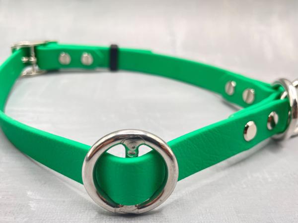 Zugstopphalsband verstellbar mit Schnalle ; 16 mm ; 38-44 cm