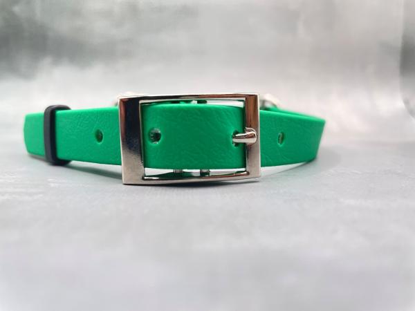 Zugstopphalsband verstellbar mit Schnalle ; 16 mm ; 38-44 cm