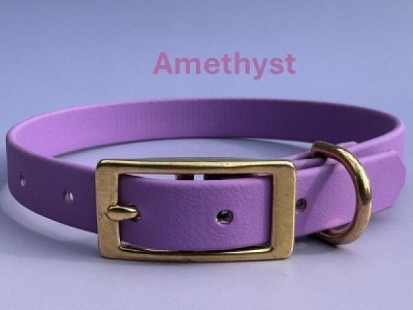 Schnallenhalsband einfach 16 mm