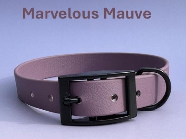 Schnallenhalsband einfach 19 mm