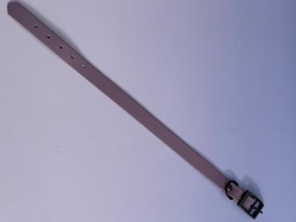 Schnallenhalsband einfach 19 mm