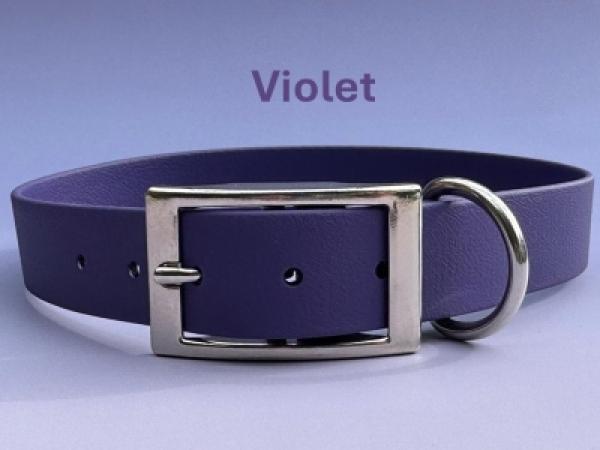 Schnallenhalsband einfach 25 mm