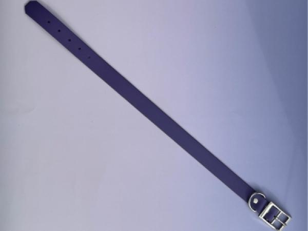 Schnallenhalsband einfach 25 mm