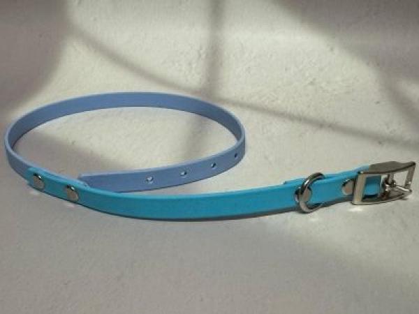 Schnallenhalsband zweifarbig 13 mm