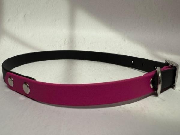 Schnallenhalsband zweifarbig 16 mm