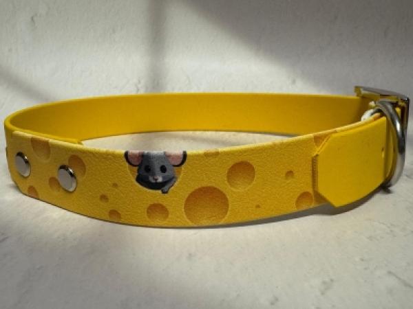 Schnallenhalsband zweifarbig 25 mm