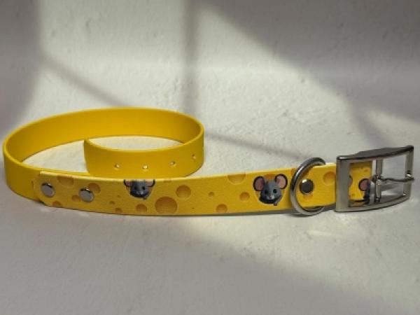 Schnallenhalsband zweifarbig 25 mm