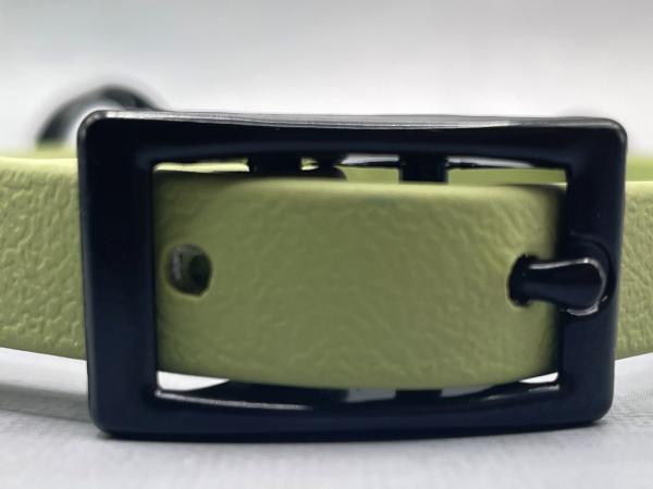 Zugstopphalsband verstellbar mit Schnalle ; 13 mm ; 38-44 cm