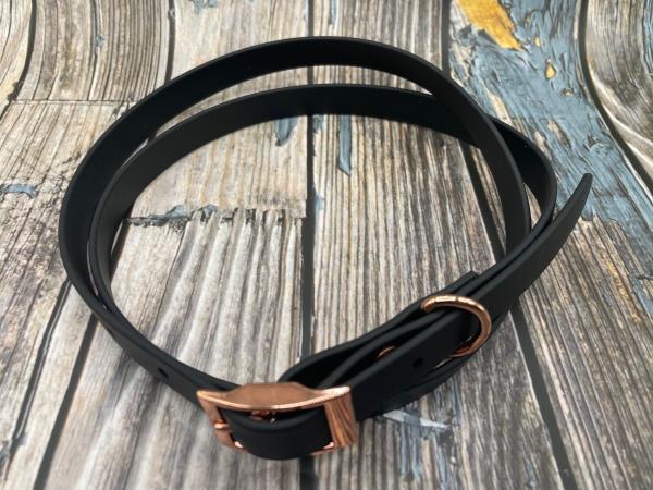 Gassigürtel einfach mit Schnalle 16 mm