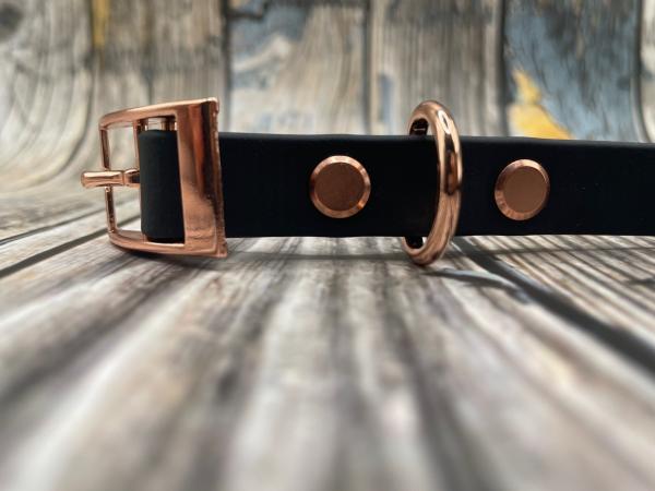 Gassigürtel einfach mit Schnalle 16 mm