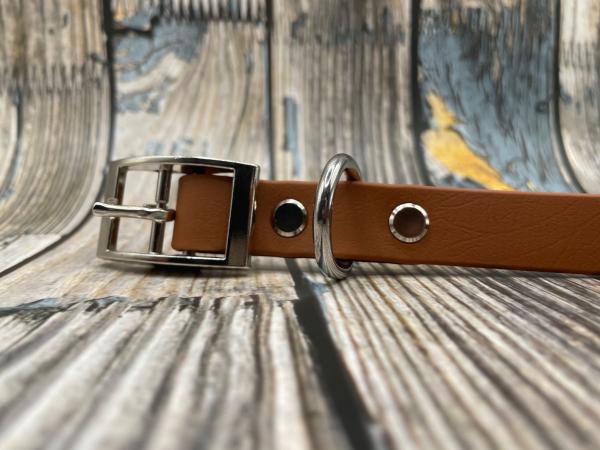 Gassigürtel einfach mit Schnalle 19 mm