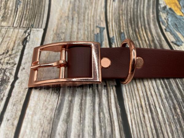 Gassigürtel einfach mit Schnalle 25 mm