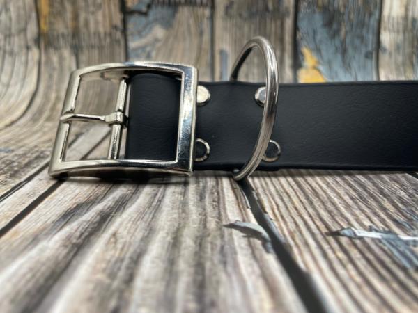 Gassigürtel einfach mit Schnalle 38 mm