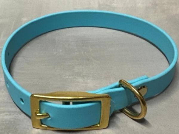 Schnallenhalsband ; 16 mm ; 28 - 36 cm