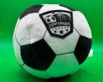Fußball SportsBallz ZippyPaws